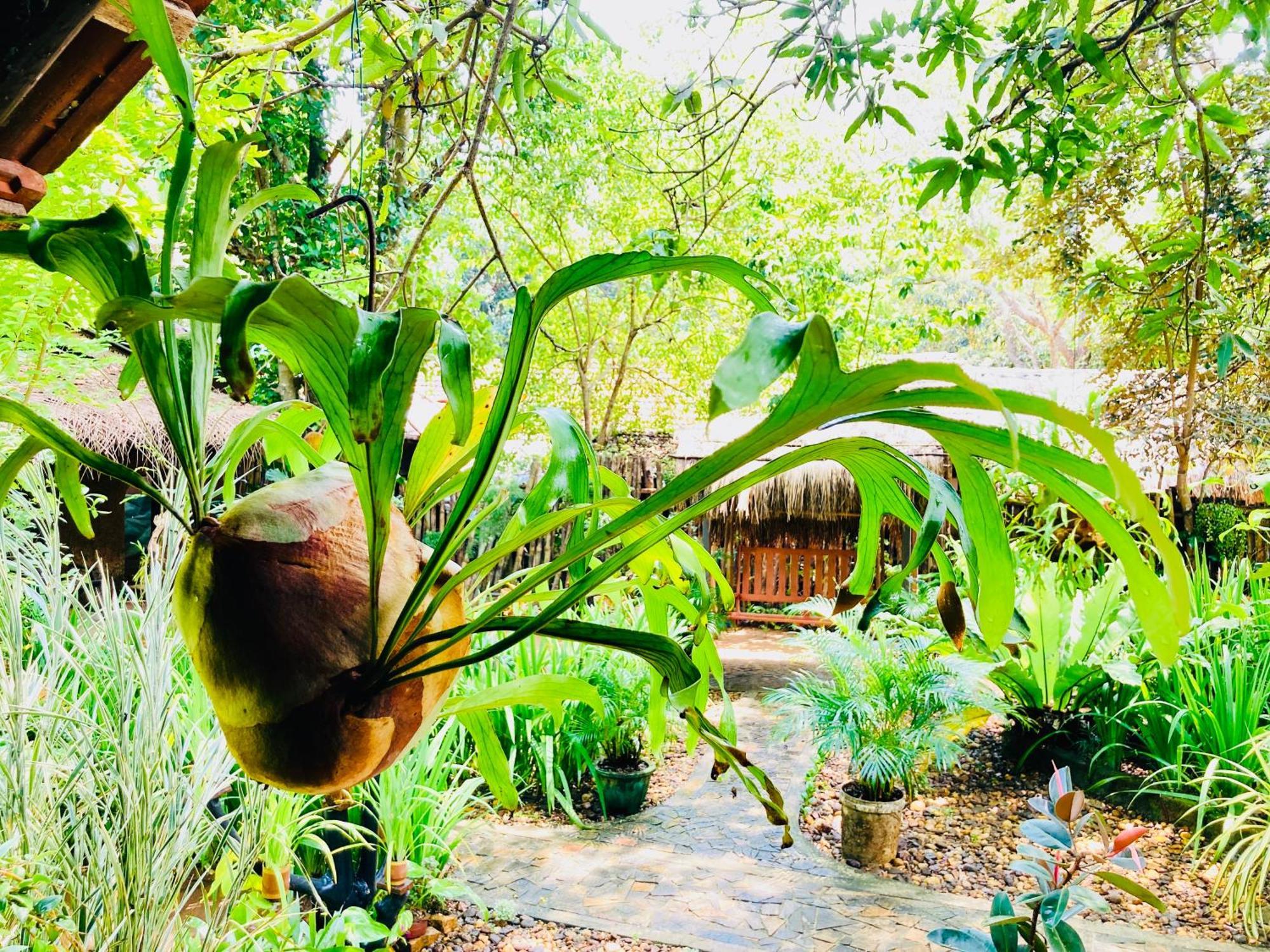 Green Paradise Cottage Udawalawa Udawalawe Luaran gambar
